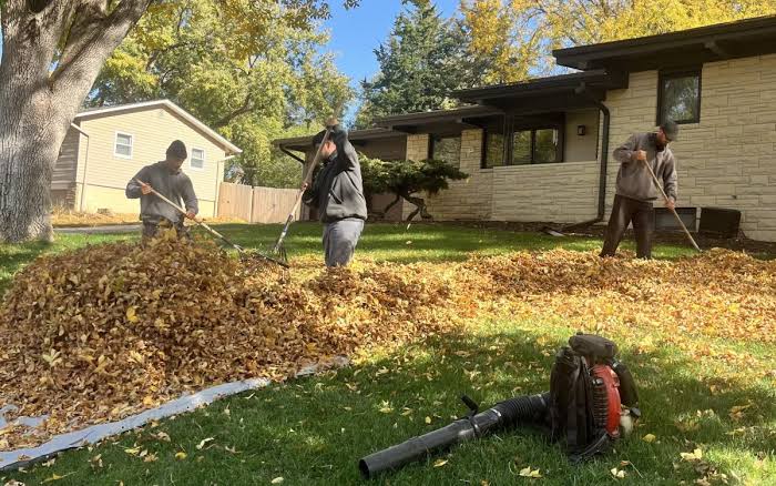 Completed front yard cleanup in Austin, Texas